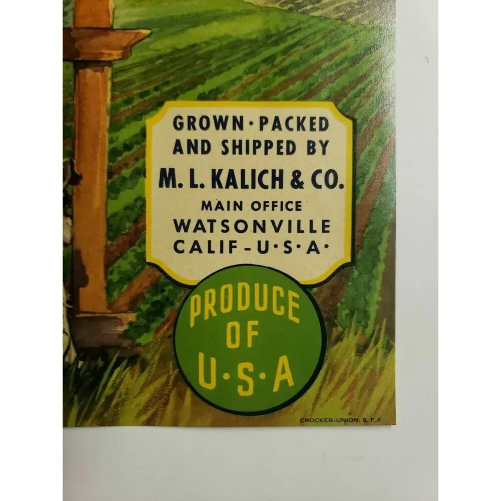 Vintage Unused Big Patch Vegetable Crate Label‎ Watsonville, California (B-2)